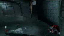 Call of Duty Zombies - Call of the Dead *New* Call of the Dead RAPE TRAIN DISCOVERED!