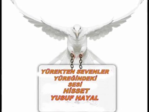 SeN SeVMe SeVDiĞİMi BiL YeTeR