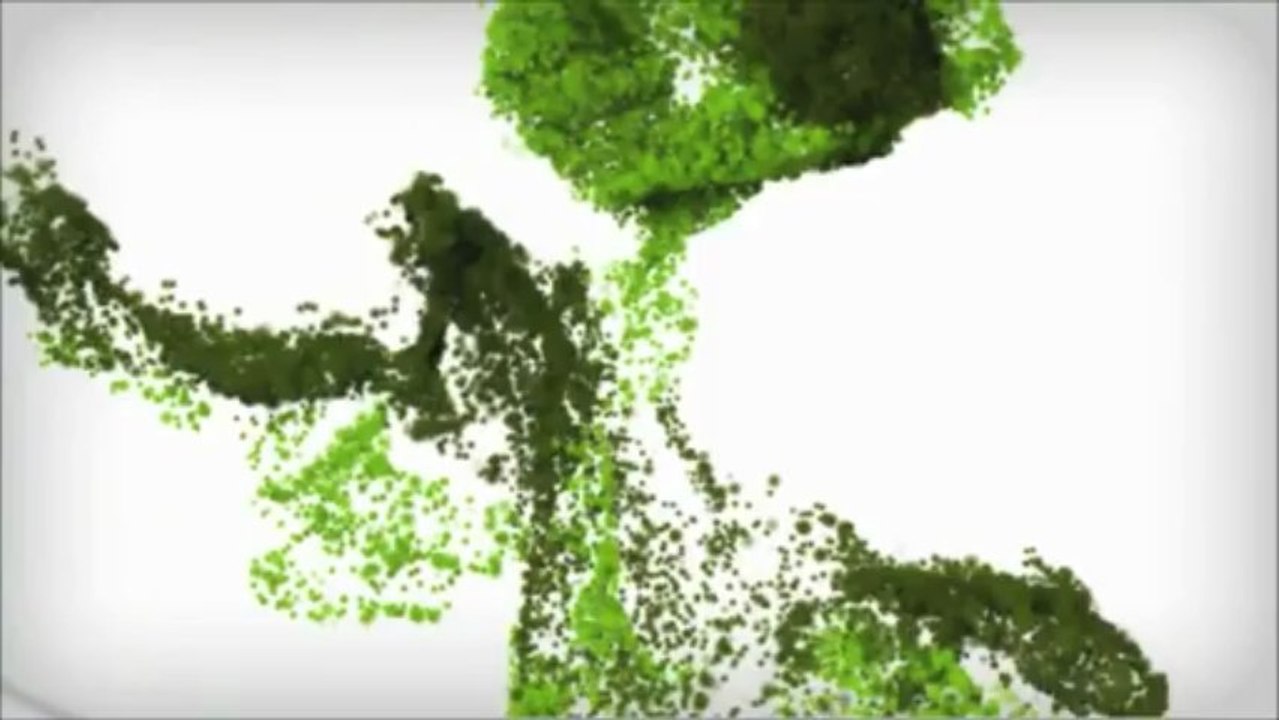 Cómo enderezar la espalda acomodando los omóplatos