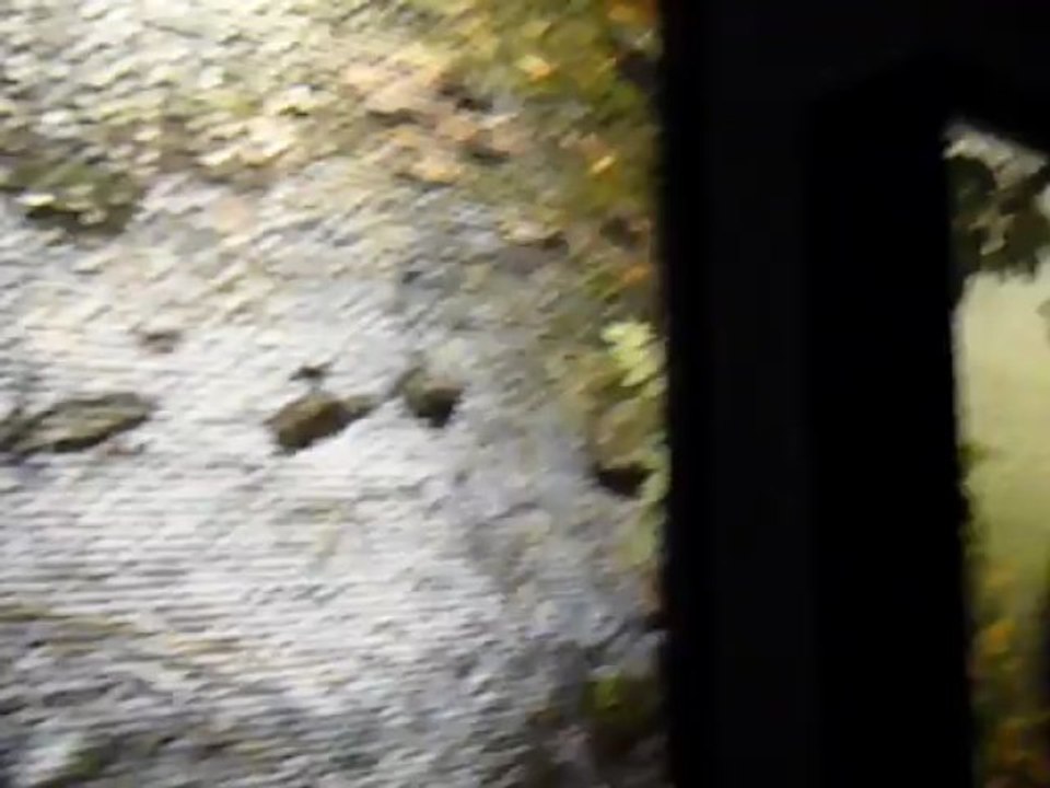 "Les Papillons verts" de Sébastien Camboulive 6 P1370166