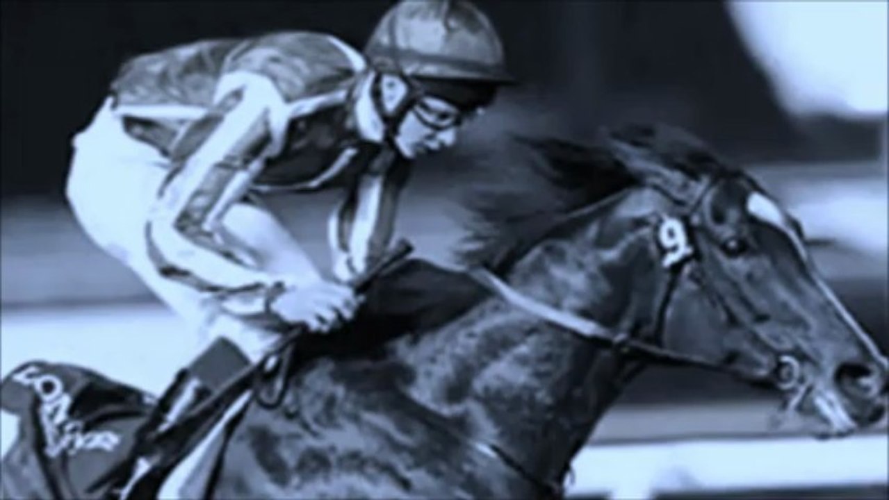 Dubai World Cup Night 2013