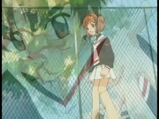 ShadowAlex's Collection 1 - Cardcaptor Sakura (retrospective & review)