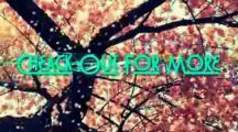 Nicki Minaj - Va Va Voom Karaoke Instrumental (With Lyrics On Screen) HD - YouTube