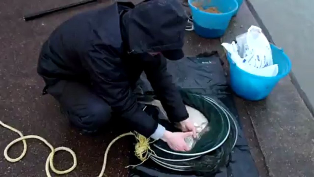 Dernier entraînement au feeder de Rocco du F.U.K avant la Kupp 2013