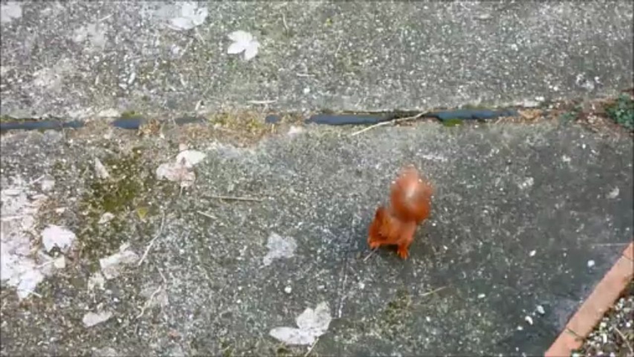 Osterhase, ich weiß, welches Ei du letzten März gelegt hast!