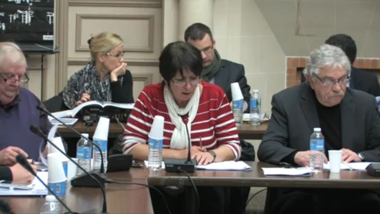 Conseil municipal - mars 2013