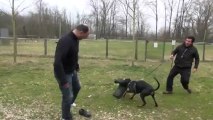 Garde au ferme défense face fuyante jambière magmar von der burgstatte