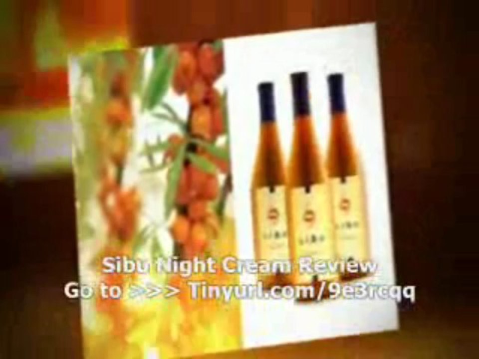 Sibu Night Cream Review : Low cost Code Sibu Night Cream Review