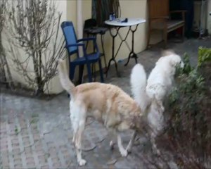 Happy B'days Jack Junior