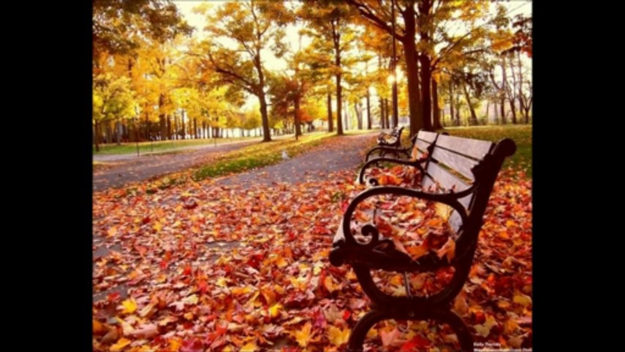 mustafa SAĞER -mevsimler-