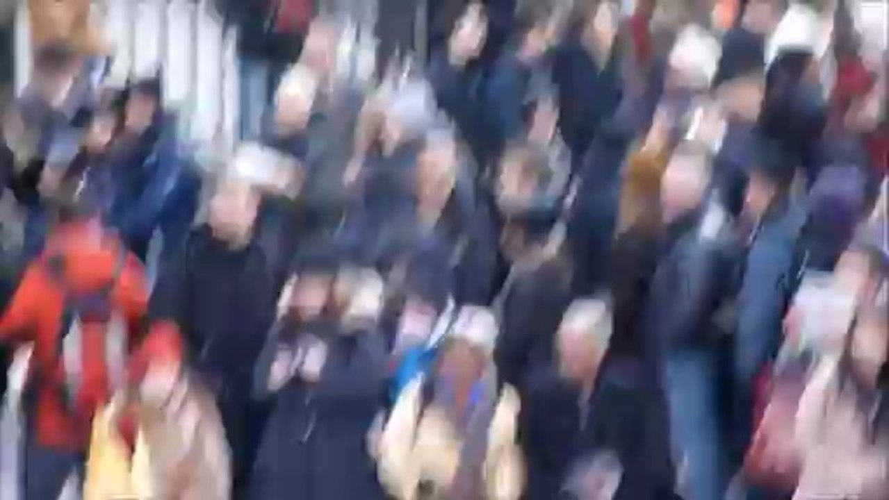 Cloches de Notre Dame