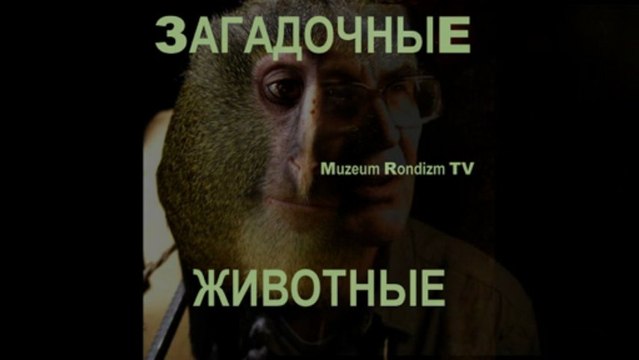 УДИВИТЕЛЬНЫЕ новые ЖИВОТНЫЕ * Film Muzeum Rondizm ТВ