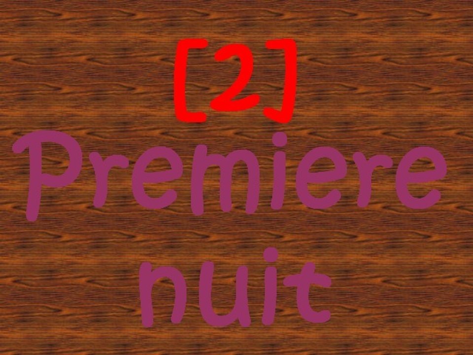 Terraria [2] Première nuit.