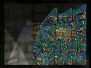 the MIRACLE in the CELL