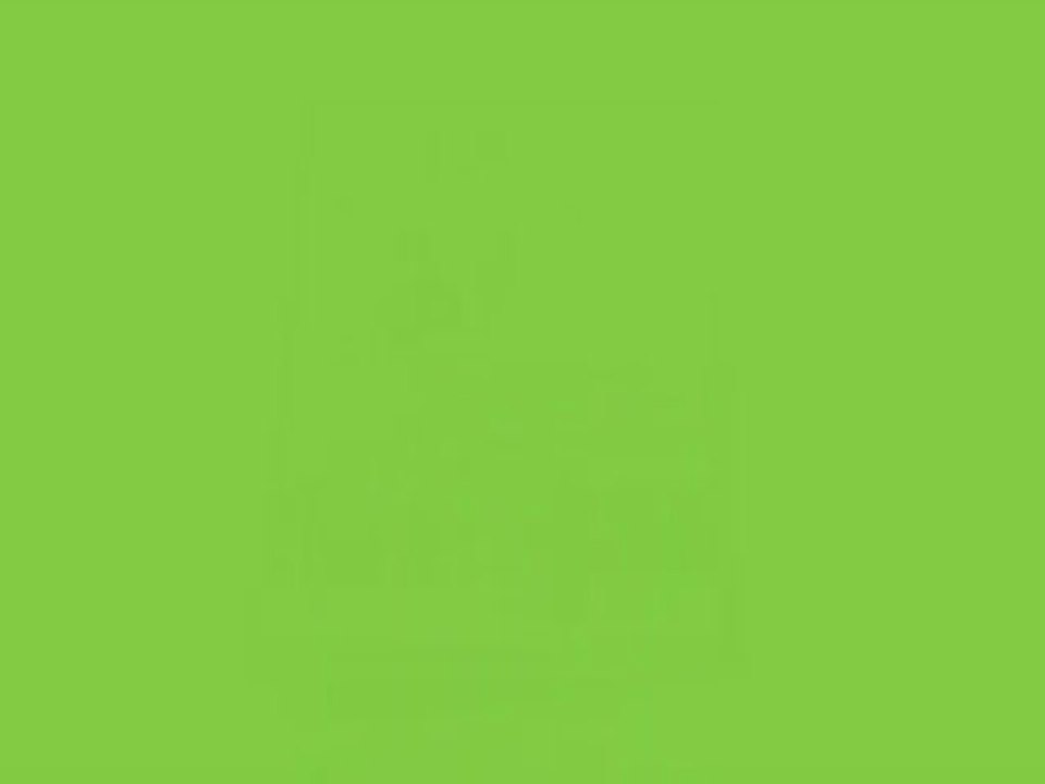 swap mars 2013 la fête foraine