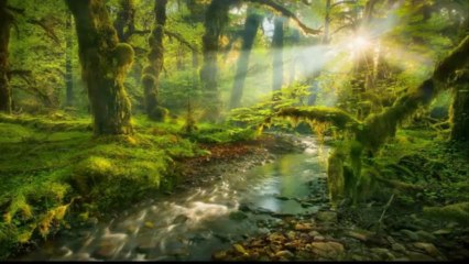 unsere Erde - Sad Violin