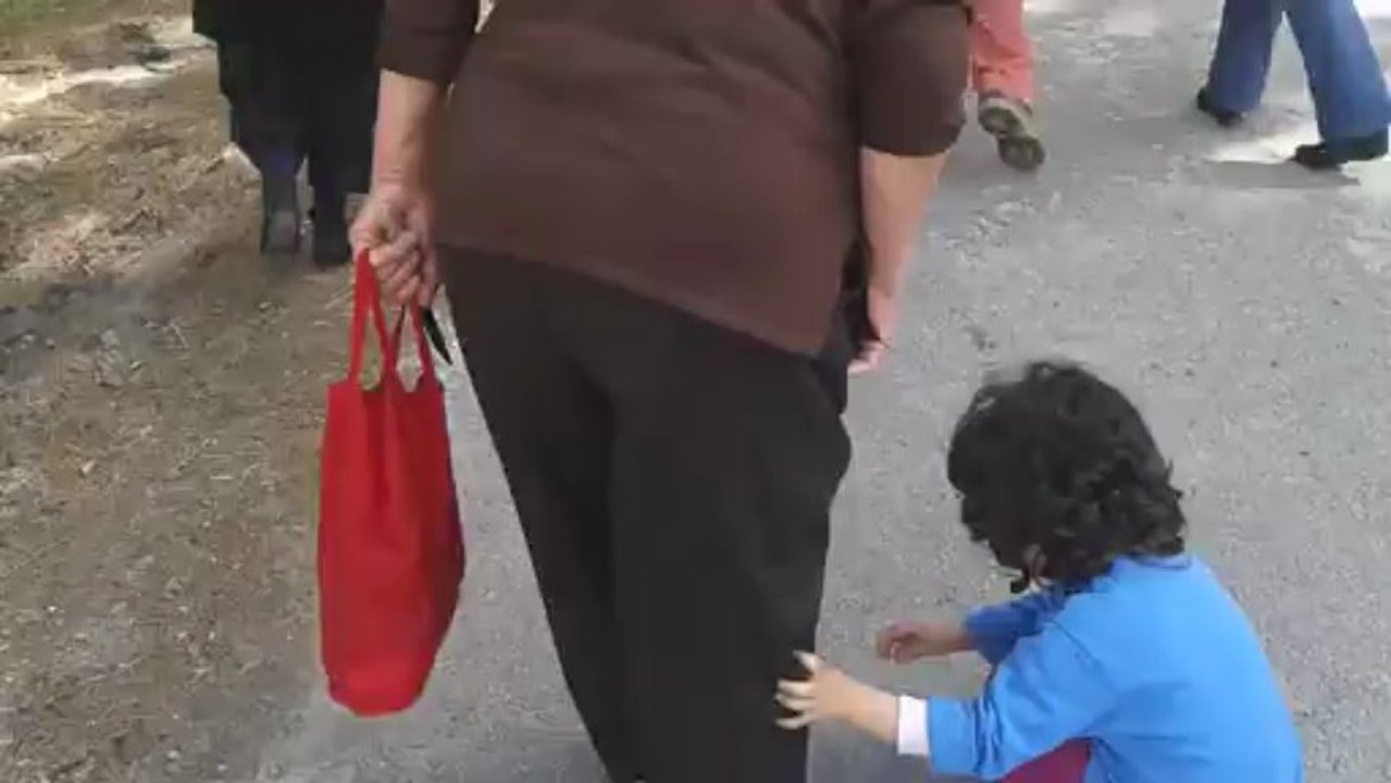 Doğadaki Yenilebilir Otları Tanıma , Toplama ve Pişirme Yöntemleri Atölyesi