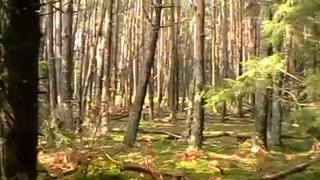 concour st jean d'aubrigou