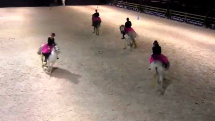 Les écuries du Trèfle. Salon du cheval de marche-en-famenne 2013 pour le Sabot d'Or