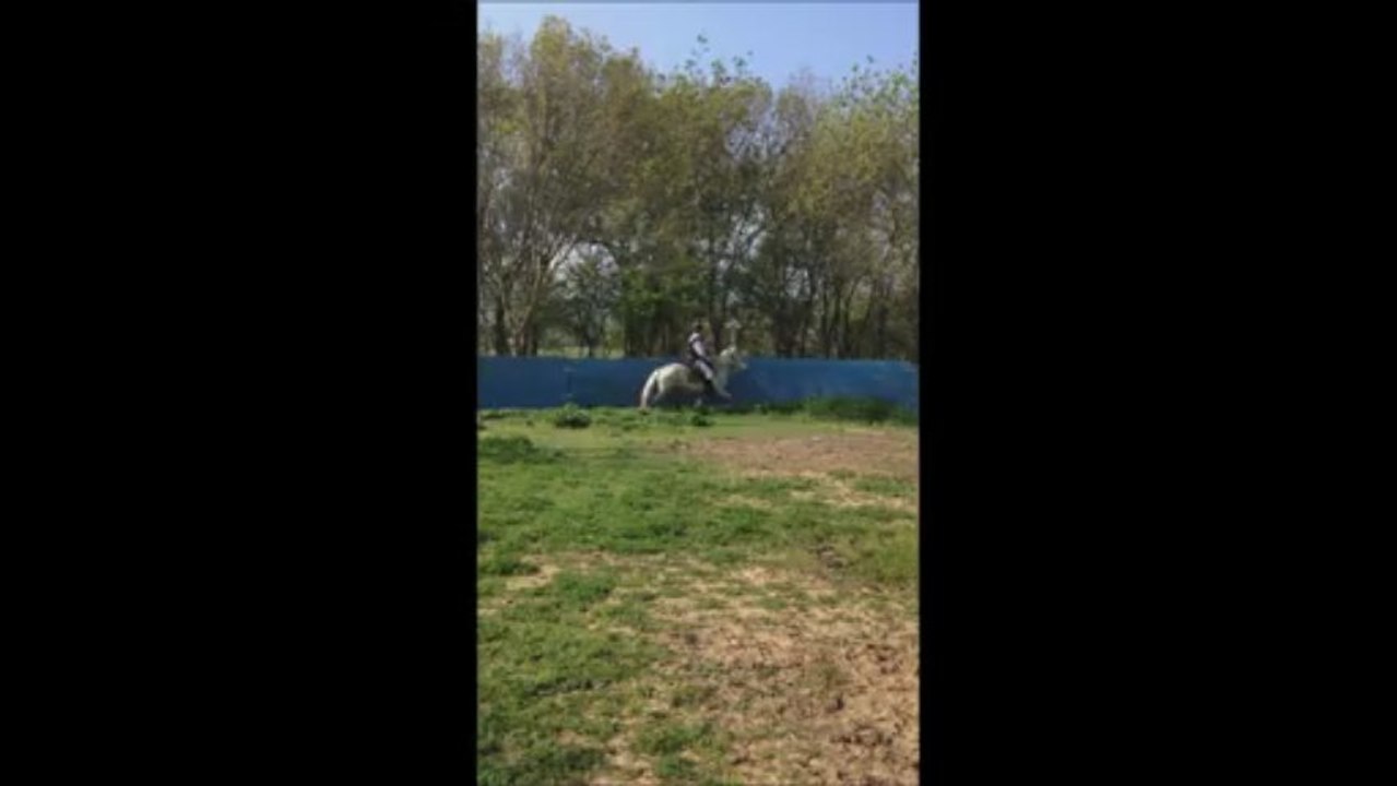 Tania et Steven le 31 mars 2013