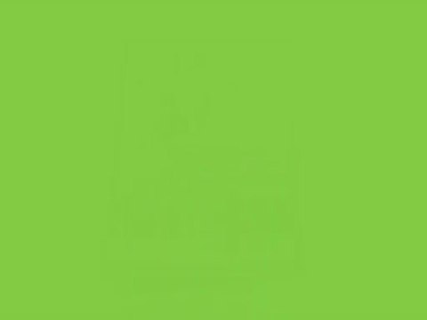 swap mars2013 la fête foraine