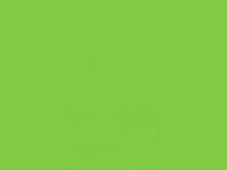 swap mars 2013 la fête foraine