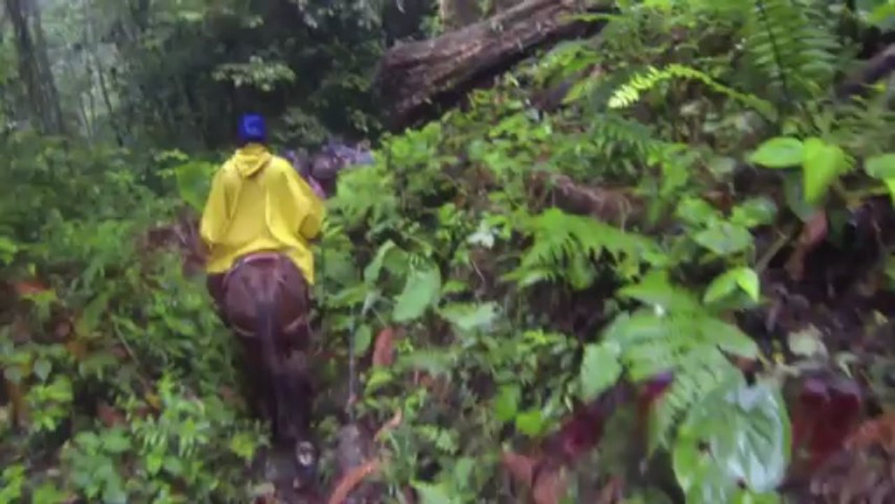 MULTIAKTIV - Venezuela (17 Tage Reise / Anden und Karibik)