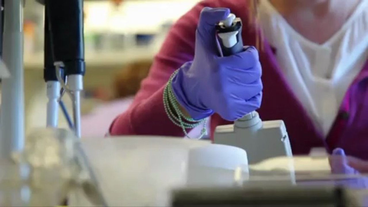 Human organs on a Chip