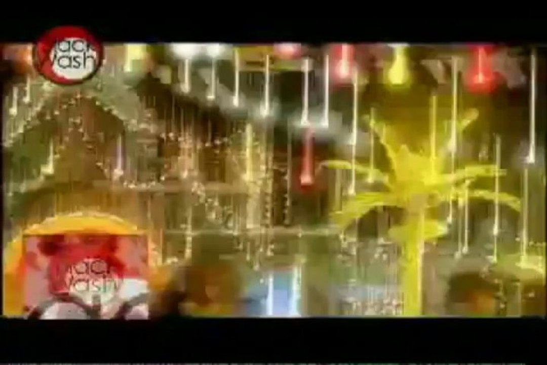 M.I.A. - Bird Flu (Damgroove_Remix) (Video)