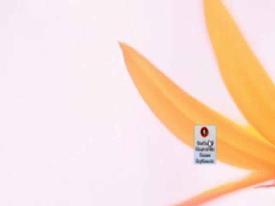 StarCraft II Heart of the Swarm © Keygen Crack + Torrent FREE DOWNLOAD + GENERATEUR DE CODE