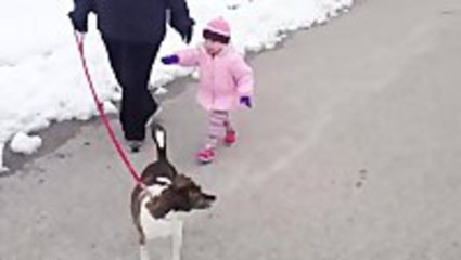 Little Girl 'Walks' Her Dog