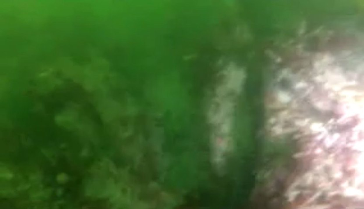 Sec de Tahiti beach,Groix