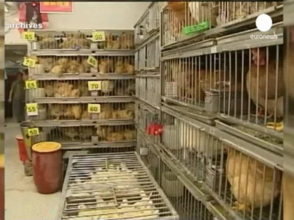 Deux Chinois succombent à la grippe aviaire