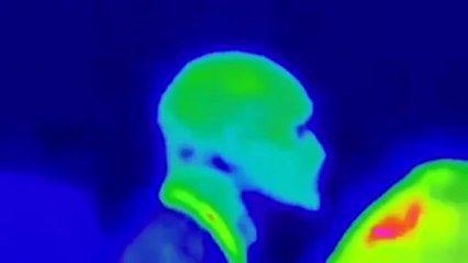 Obama protégé par un garde du corps extraterrestre?