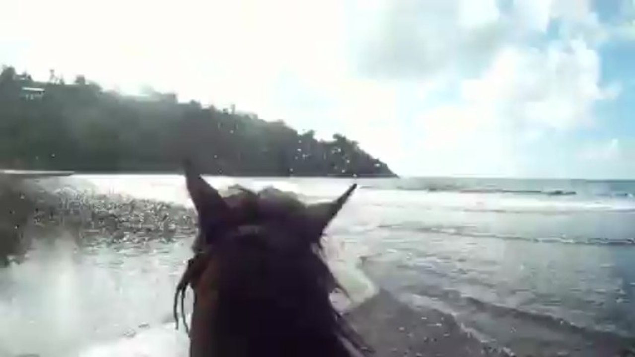 cheval go pro