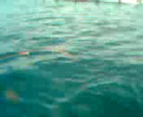 KAZIKLI BALIK AVI KAĞAN 112