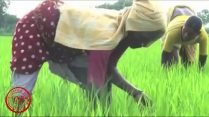 Programme UPR - Proposition n° 14 - alimentation saine & vie digne aux agriculteurs