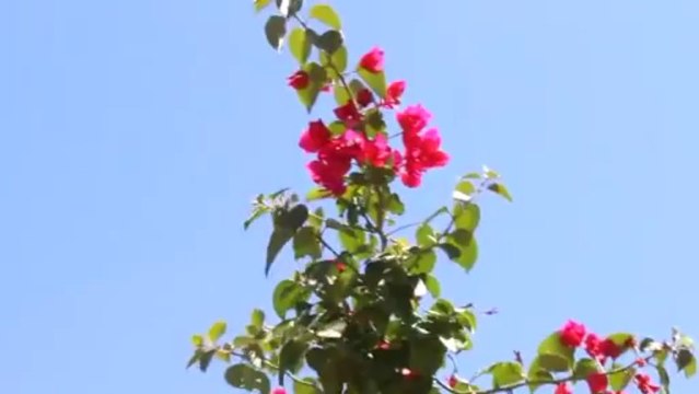 Las primeras palabras del Señor resucitado a su iglesia - Pastor Paco Orozco