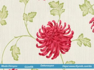 Son Moda Ayakkabı Modelleri 2013