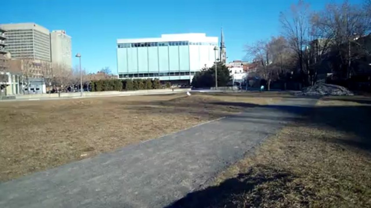 " Spécial Martine "