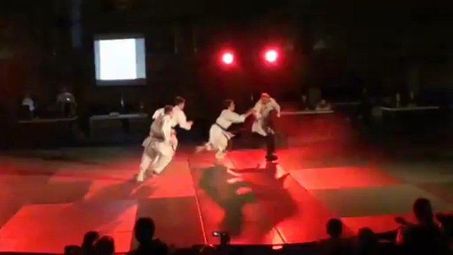 Démonstration du Tai-jitsu Ryu Maubeuge 2013