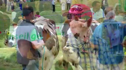 Comice Agricole La Madeleine Bouvet 2012