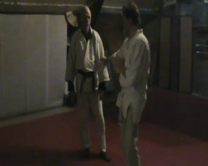 Gyaku hanmi sode dori sumi otoshi