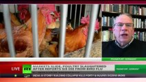 Bird Flu Hysteria: 'Big pharma ready to cash in before virus researched'
