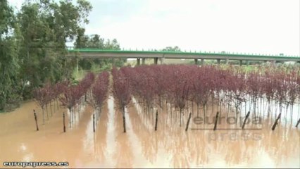 El Guadiana se desborda y destruye las cosechas