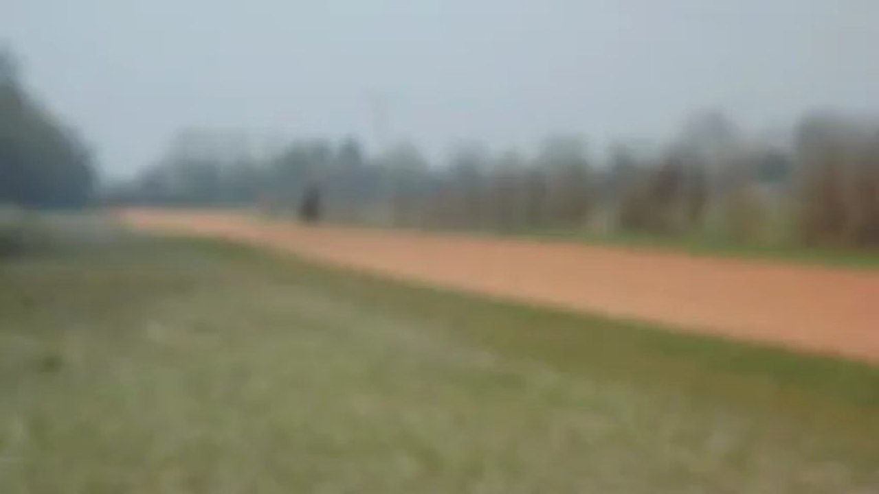 Beautée d'Ondée à l'entrainement - 28/03/2013