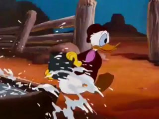 Donald Duck - Dude Duck