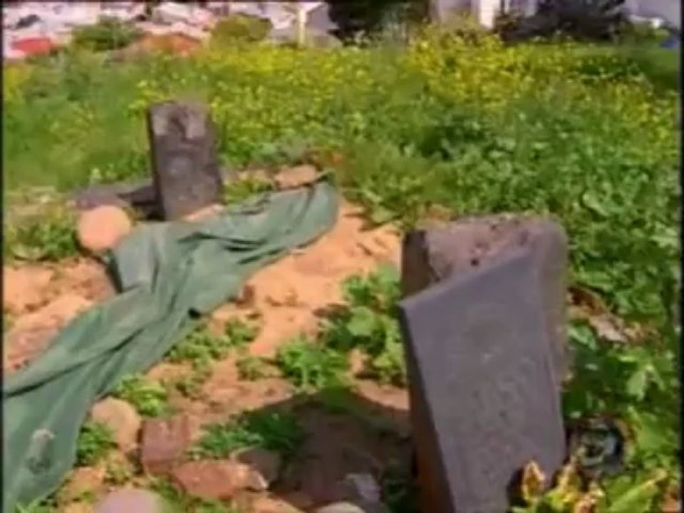 haberci islamın renkleri