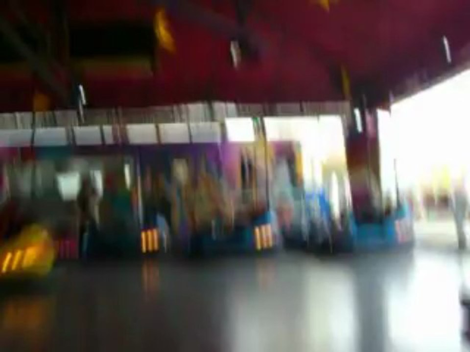 Braun Autoscooter - 2013