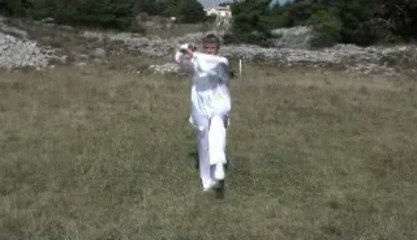 Tai Chi Fred2 Test pour justmytalent